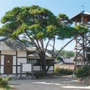 곰개나루 이미지