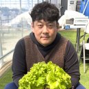 서해팜