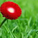 자연의 소리 Ⅱ 이미지