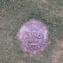 드라곤레이크CC 이미지