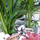 세상을위로하는 따뜻한 힘 힐링원예 이미지