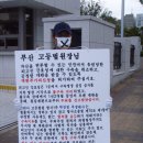 소싸움경기장 이미지