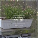 거제 꽃집 당근 마켓에서 만난 오리엔트님의 아름다운 정원