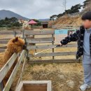 석암목장 이미지