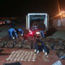 동해-단속-30 이미지