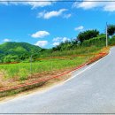 백두농장2 이미지