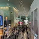 삼촌네 과일야채 | 오랜만이야 시애틀! 미국 이심개통후 시애틀 렌터카 픽업하고 숙모네로