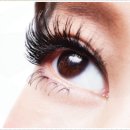 모다브로우 이미지