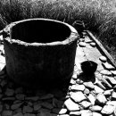 우물가의 미소 이미지