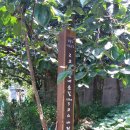 거제종합사회복지관 뒤 이미지