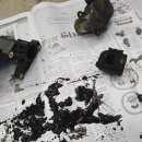 차병원 모터스 이미지