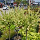 에코가든 이미지