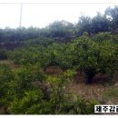 지우네 농장 이미지