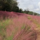 왕궁농장 이미지