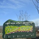 파크골프오후 이미지