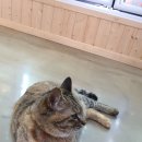 궁평특산물명품관 이미지
