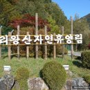 햇살내리는 민박 이미지