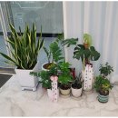 광명사거리 1번 출구 앞 이미지