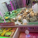 와플대학이천마장캠퍼스 | 오투인형뽑기이천마장점 와플대학 이천마장 캠퍼스