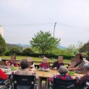 소풍(동행) 이미지