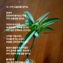 미완성 이미지
