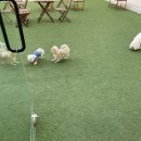 오파프부산 이미지