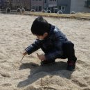 (주)팜스원