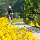 봉발보건진료소 이미지