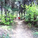 초막골생태공원(초록화장실) 이미지