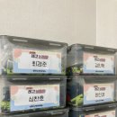 한국체대 제이오름 태권도 이미지