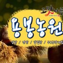 용봉농장 이미지