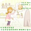 심는가발 이미지