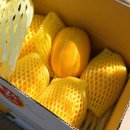 성주농산 - 북구 칠곡중앙대로 412 | 역대급 할인! 튼튼농산 성주 참외 10kg, 지금 안 사면 1년 후회해요!