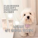 POBI | 보습고민 해결한 솔직후기, 너티포비실키글라이드컨디셔너🫧