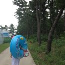 마이앤트세라 | 키꼬[여행후기] - 강원도 강릉 1박2일 여행 2탄 + 사천해변 + 사천해변펜션 마이앤트세라