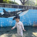 능골공원 화장실 이미지