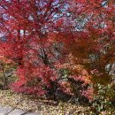 산성보건진료소 이미지