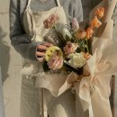 꼬모플레리 이미지