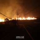에스케이텔레콤울진 이미지