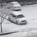 대구명곡초등학교 이미지