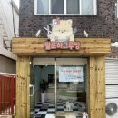 왈로하그루밍 이미지