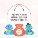 프리미엄 인성 태권도장 이미지