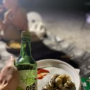 비채야영장 이미지