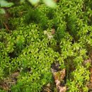 명곡동273 이미지