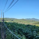 영등농장 이미지