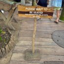 에코뷰 당구클럽 | 발리 짱구 라브리사 비치클럽 예약X 워크인 자리 메뉴 추천