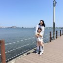 그늘막76 | 💛속초 1박2일 가족여행 코스 | 청초호·중앙시장·맛집·횟집·숙소 내돈내산 후기