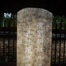 강지선생묘 | [웹북] 하위지 (사육신) : (河緯地, 1412년 ~ 1456년)는 조선 전기의 문신이며 조선 단종 때 사육신의...