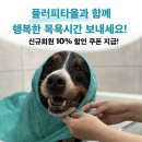 준독트레이닝센터 | 강아지 목욕, 강아지 타올은 강원도애견훈련 &#34;준독트레이닝센터&#34;가 좋아요