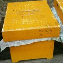 꽃따라 벌천지